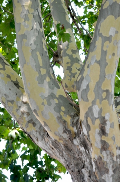 Север Италии. Июль'17 (Milano.Bergamo.Treviglio.Garda. Lecco. Crema. Lovere. Pisogne)