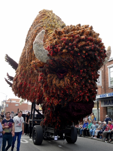 Цветочные парады Varend Corso (2017) и Corso Zundert (2017,2019) в Нидерландах