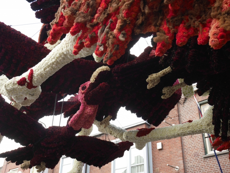 Цветочные парады Varend Corso (2017) и Corso Zundert (2017,2019) в Нидерландах