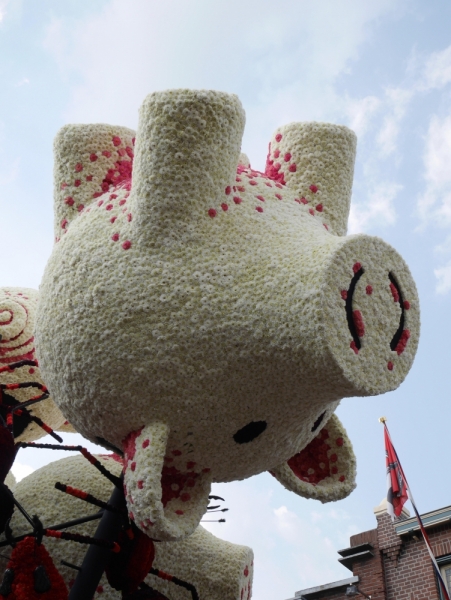 Цветочные парады Varend Corso (2017) и Corso Zundert (2017,2019) в Нидерландах