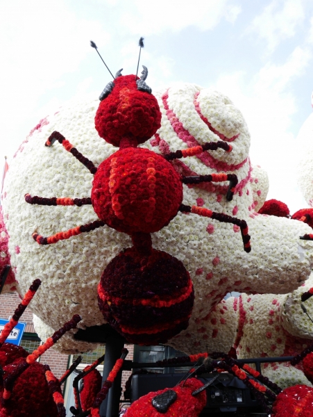 Цветочные парады Varend Corso (2017) и Corso Zundert (2017,2019) в Нидерландах