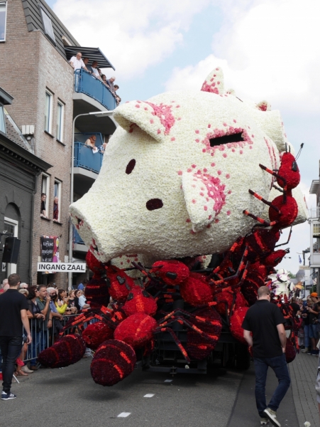 Цветочные парады Varend Corso (2017) и Corso Zundert (2017,2019) в Нидерландах