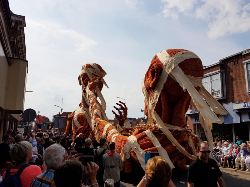 Цветочные парады Varend Corso (2017) и Corso Zundert (2017,2019) в Нидерландах