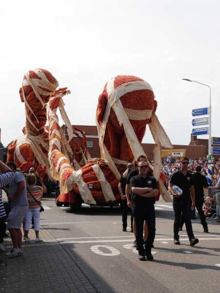 Цветочные парады Varend Corso (2017) и Corso Zundert (2017,2019) в Нидерландах