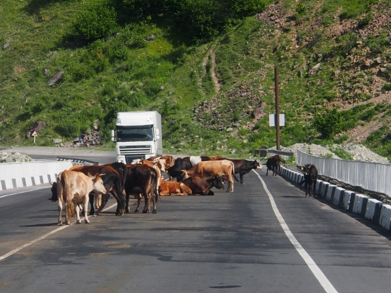 Тбилиси-Степанцминда-Сванетия-Кутаиси-Батуми-Ахалцихе-Тбилиси за 10 дней. июль 2017