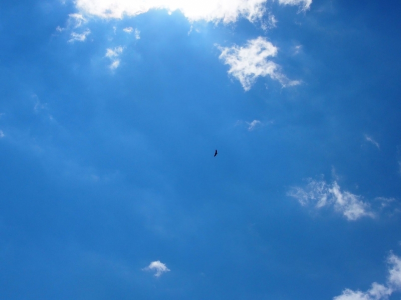 Тбилиси-Степанцминда-Сванетия-Кутаиси-Батуми-Ахалцихе-Тбилиси за 10 дней. июль 2017