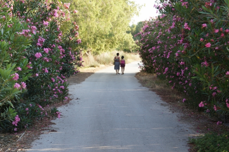 Позитивный Крит