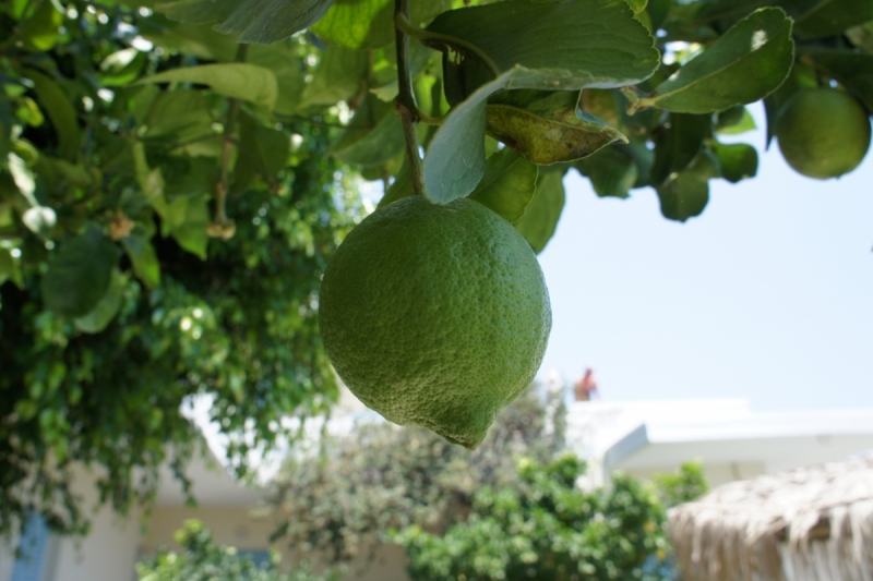 Позитивный Крит