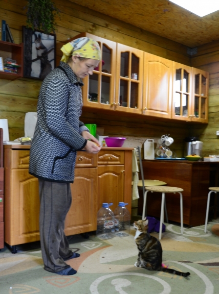 Кошки в нашей жизни. Кошки и все, что с ними связано.