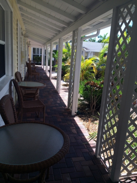 Дорога из Нью-Йорка в Нью-Йорк длиною в 4 тысячи миль