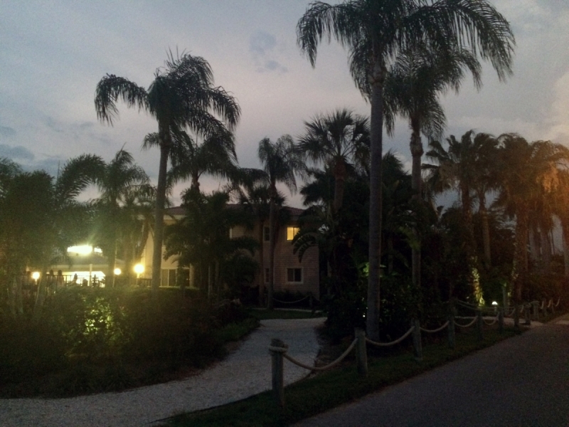 Дорога из Нью-Йорка в Нью-Йорк длиною в 4 тысячи миль