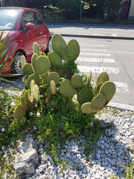Север Италии. Июль'17 (Milano.Bergamo.Treviglio.Garda. Lecco. Crema. Lovere. Pisogne)