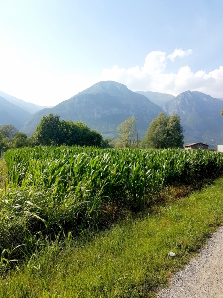 Север Италии. Июль'17 (Milano.Bergamo.Treviglio.Garda. Lecco. Crema. Lovere. Pisogne)