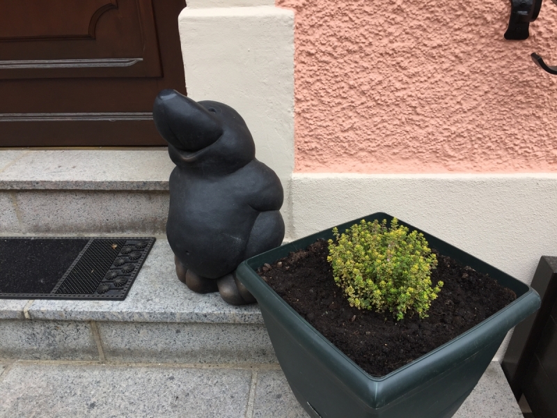 Юбилейный  автотрип  в Европу – весна 2017,