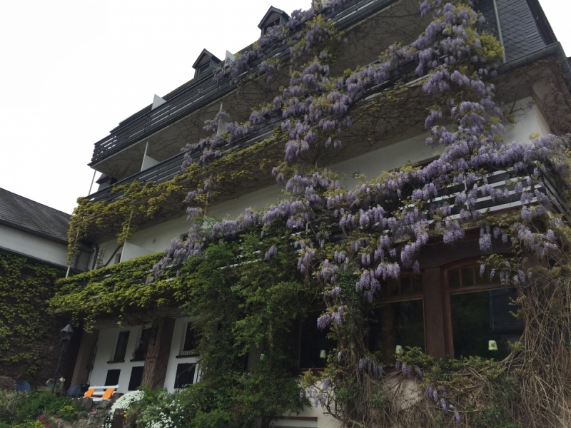 Юбилейный  автотрип  в Европу – весна 2017,