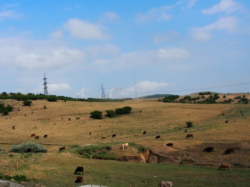 Тбилиси-Степанцминда-Сванетия-Кутаиси-Батуми-Ахалцихе-Тбилиси за 10 дней. июль 2017