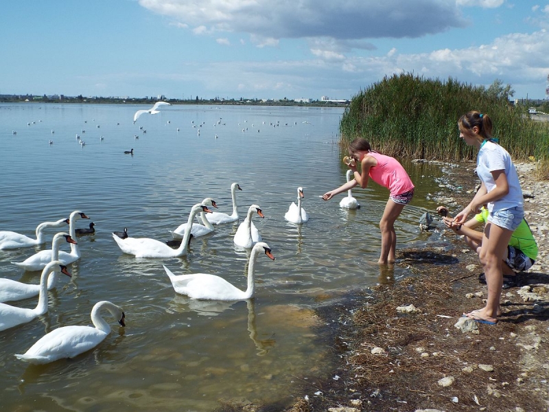 Крымский Fly@Drive