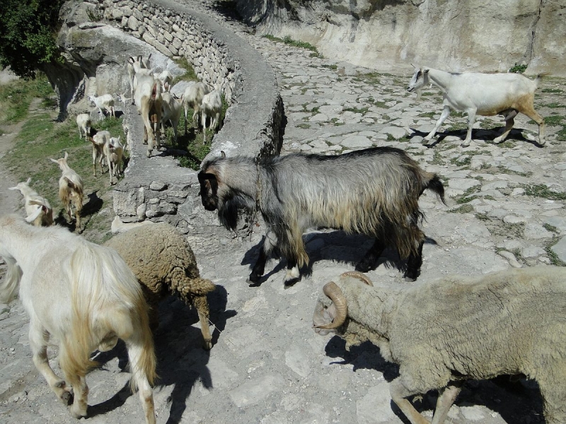 Крымский Fly@Drive