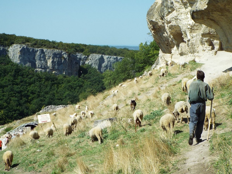 Крымский Fly@Drive