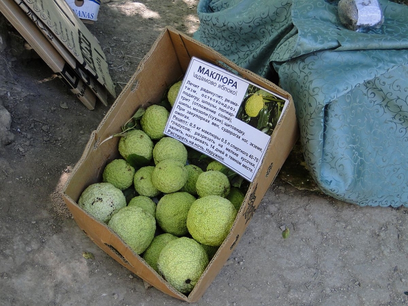 Крымский Fly@Drive