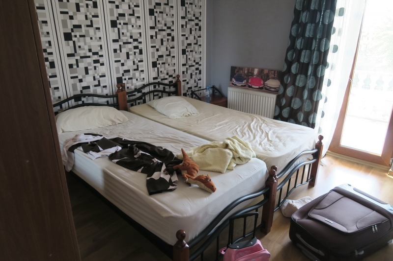 Земо Алвани (Кахетия), гест Alex's Guest House Земо Алвани (Кахетия), гест Alex's Guest House