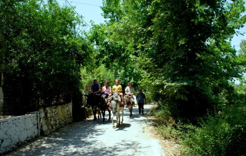 Позитивный Крит