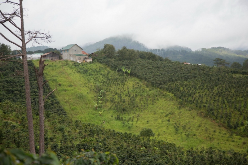 Вьетнам- красивая страна страданий