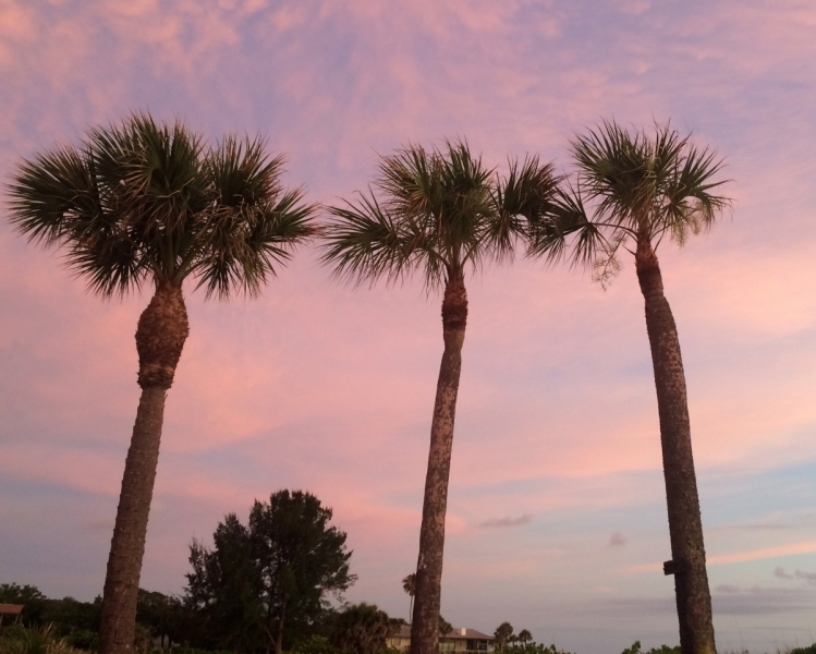 Дорога из Нью-Йорка в Нью-Йорк длиною в 4 тысячи миль