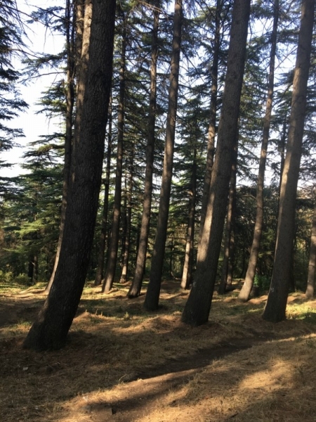 Афганистан работа сейчас