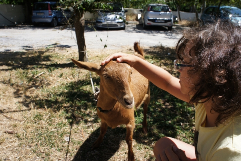Позитивный Крит