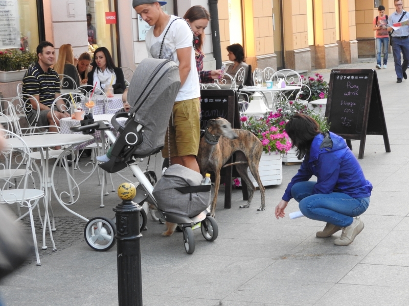 Всегда мечтал вернуться туда... (Ставрополь-Новые Замки, через Прагу и немного Польши))