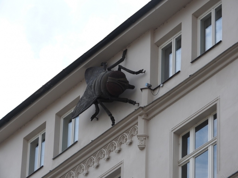 Всегда мечтал вернуться туда... (Ставрополь-Новые Замки, через Прагу и немного Польши))