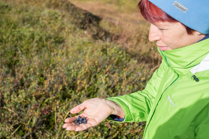 Вокруг Исландии в погоне за солнцем (2 недели на кемпере, август-сентябрь, 2017)