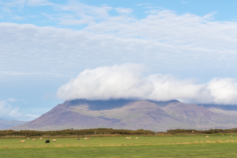 Вокруг Исландии в погоне за солнцем (2 недели на кемпере, август-сентябрь, 2017)