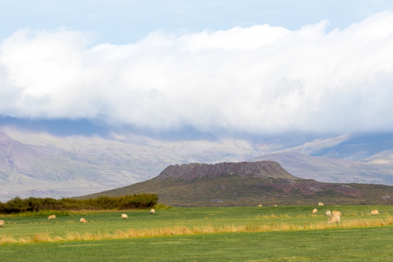 Вокруг Исландии в погоне за солнцем (2 недели на кемпере, август-сентябрь, 2017)