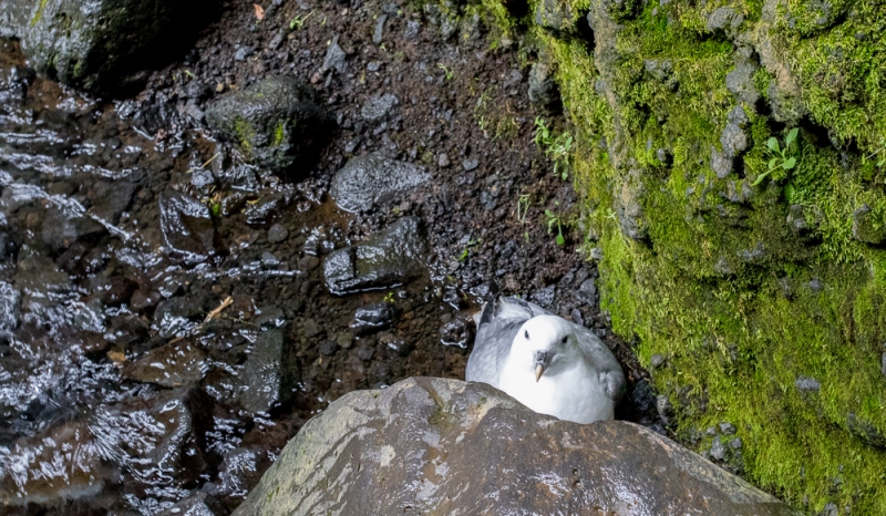 Вокруг Исландии в погоне за солнцем (2 недели на кемпере, август-сентябрь, 2017)