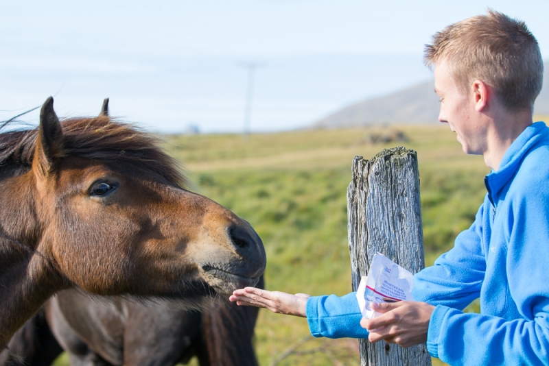Вокруг Исландии в погоне за солнцем (2 недели на кемпере, август-сентябрь, 2017)