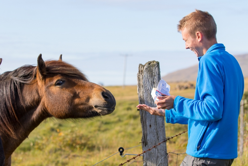 Вокруг Исландии в погоне за солнцем (2 недели на кемпере, август-сентябрь, 2017)