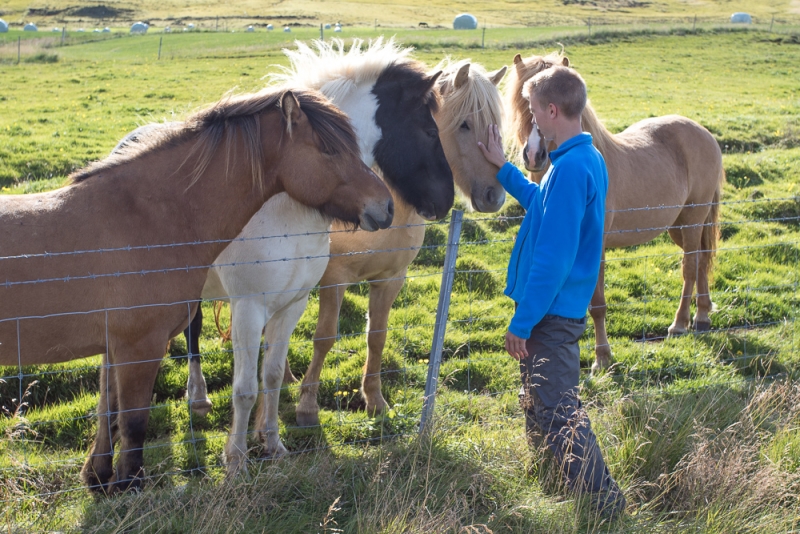 Вокруг Исландии в погоне за солнцем (2 недели на кемпере, август-сентябрь, 2017)