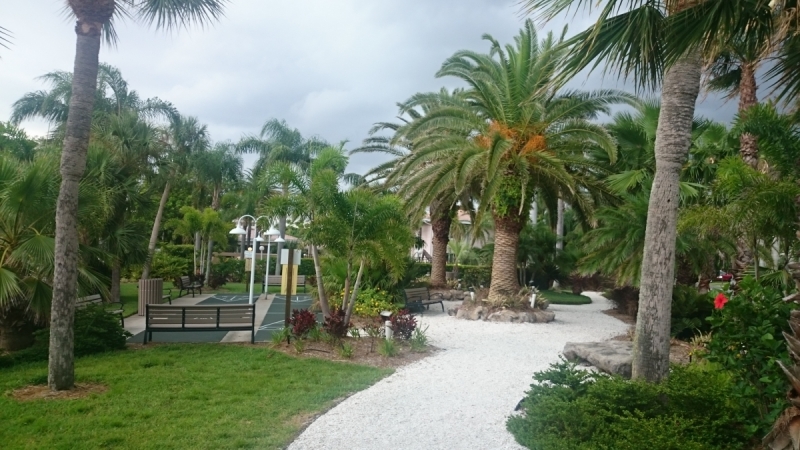 Дорога из Нью-Йорка в Нью-Йорк длиною в 4 тысячи миль