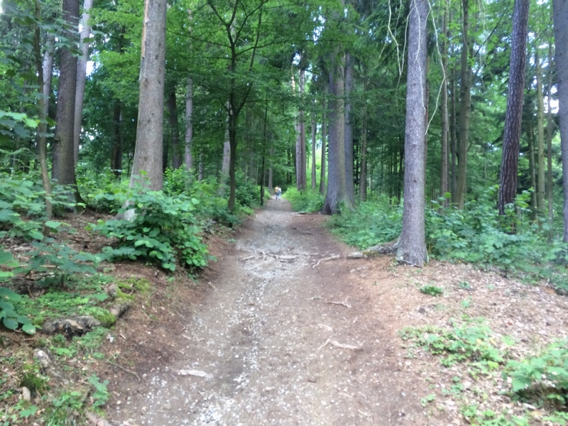 Всегда мечтал вернуться туда... (Ставрополь-Новые Замки, через Прагу и немного Польши))