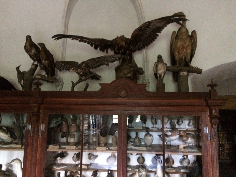 Всегда мечтал вернуться туда... (Ставрополь-Новые Замки, через Прагу и немного Польши))