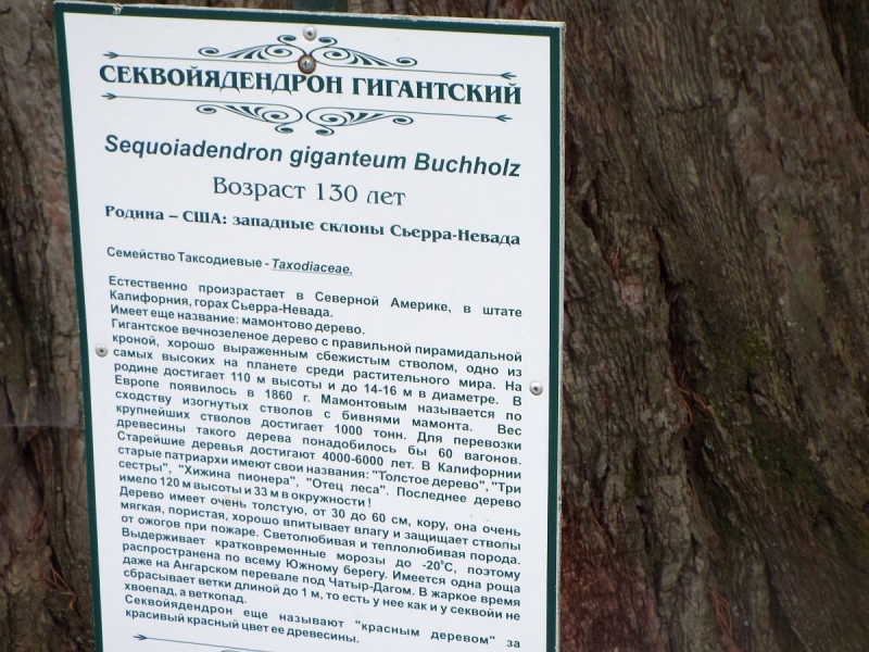 Крымский Fly@Drive