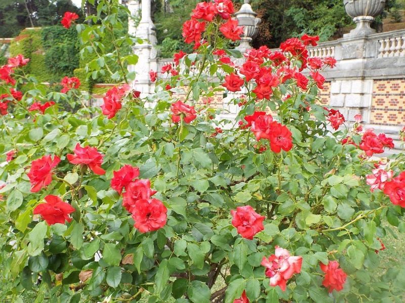 Крымский Fly@Drive