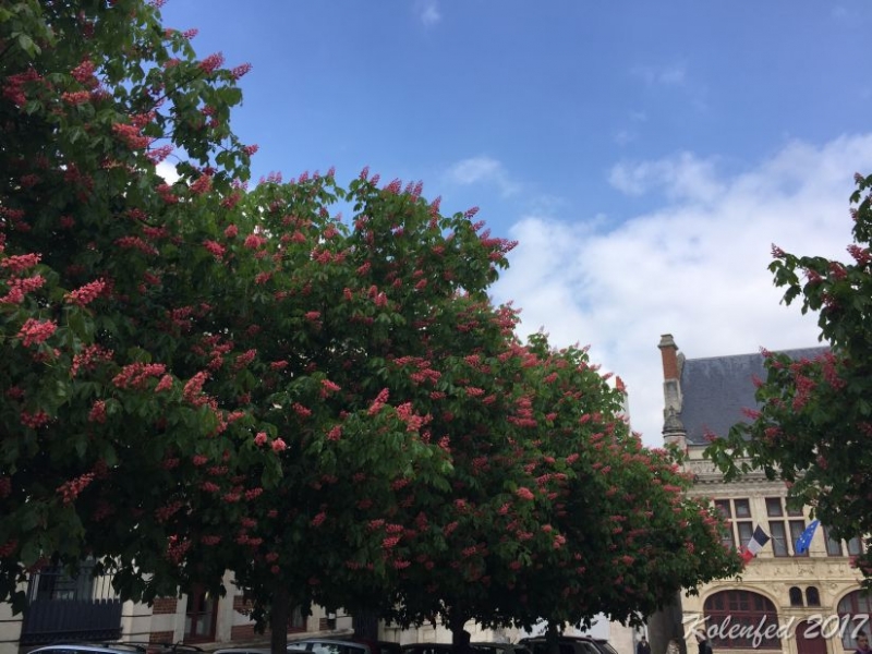 Юбилейный  автотрип  в Европу – весна 2017,