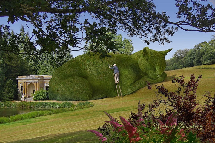 Кошки в нашей жизни. Кошки и все, что с ними связано.