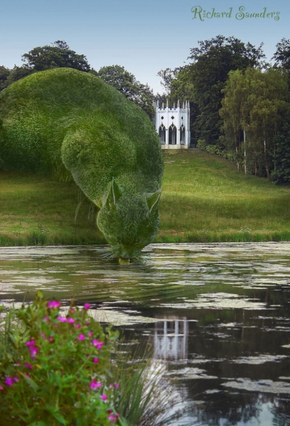 Кошки в нашей жизни. Кошки и все, что с ними связано.
