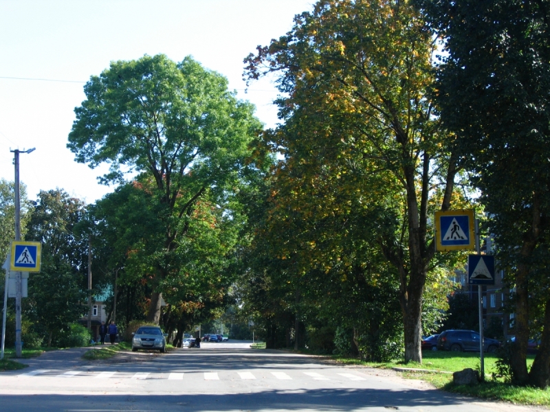 Кошки в нашей жизни. Кошки и все, что с ними связано.