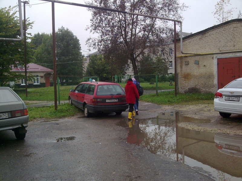 Кошки в нашей жизни. Кошки и все, что с ними связано.