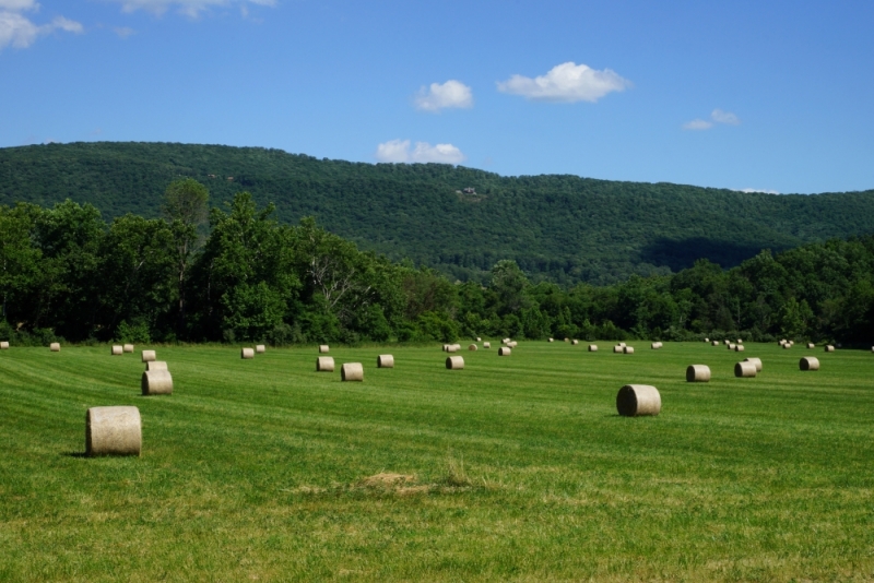 Shenandoah -> Blue Ridge Parkway -> Great Smoky Mountains - слайды и координаты